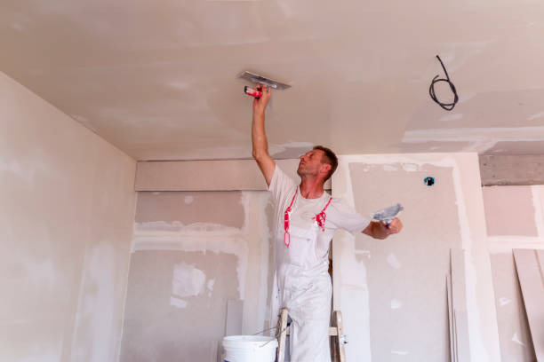 Best Exterior Painting  in Larkspur, CA